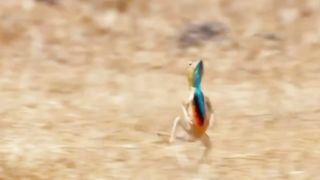How he runs