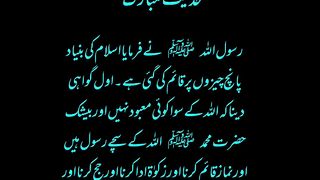 Sahee Bukhari Hdees  video ummat ki zarurt