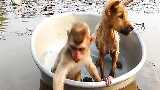 Two babys suffering