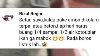 Ini RESIKO yang harus kalian terima jika MAKSA aplikasikan EMON REBUS kekolam DARAT