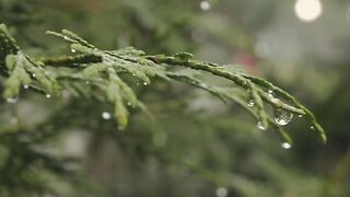 Nature sound