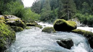 Rain Sound with beautiful piano music, Deep sleep soft music for relaxation, and Inner Relaxation.