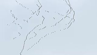 Crane birds fly in line
