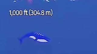 Titanic  how deep  in water