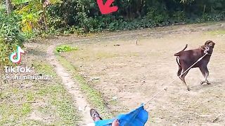 চাচার কি অবস্থা না হেসে পারবেন না