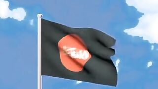 কেমন হতো পতাকা টা ,,তাই বলেন সবাই