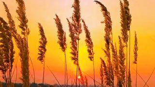 Beauty of nature ☀️????