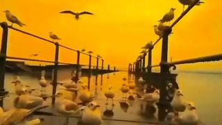 Beautiful nature ☺️????