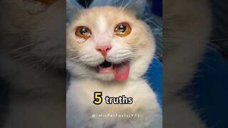 REAL PAIN of neutered cats! You can help❤️‍???? #facts