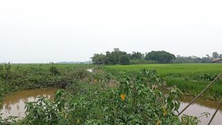 my village