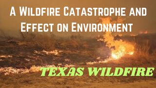 Wildfires prompt evacuations in Texas and Oklahoma