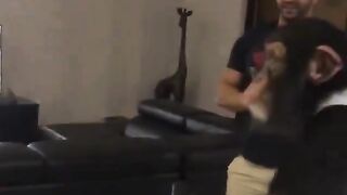 Chimp rescue spits out drink in excitement to see his old caretaker.