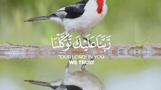 القران الكريم