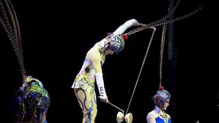 Amazing videos very interesting video