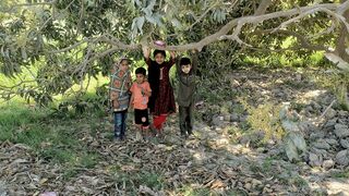 Village Enjoy Kid