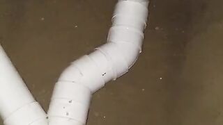 see technique