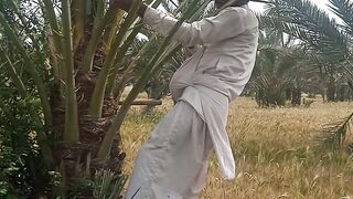 Who likes the gift of Sindh dates Pollwo me palese
