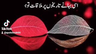 Quotes for Friends.