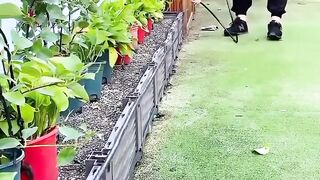 Tip of gardening