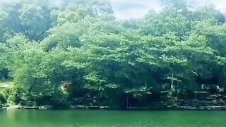 Indian lovely song