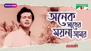 অনেক সাধের ময়না আমার _ Bangla Movie Song _ Razzak _ Kobori