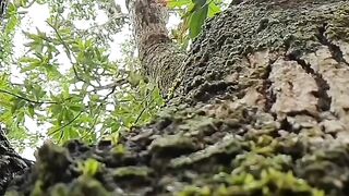 Closeup view of nature