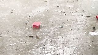 Lovely Rain