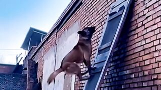 What a jump ❤️