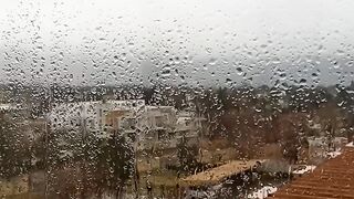 A fresh morning