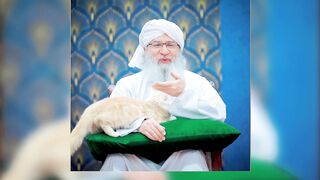 Cute cat video #cat