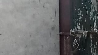Beautiful birds