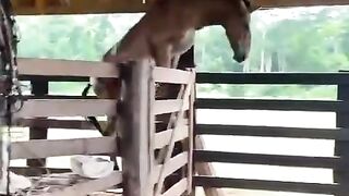 Oops...I'm ok!