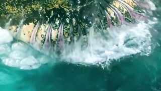 Sea power