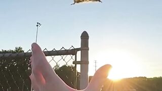Flying squirrel saved by heartwarming
