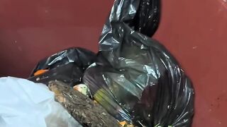 Discarded like trash covered in filth and crying in despair rescue dogs
