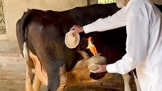 Kihnu pta eh #viral #sidhumoosewala #trending