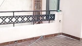 The New house in Top
