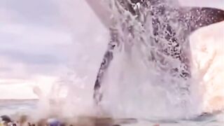 the big fish status I beautiful big fish video I fishing status I #fishing