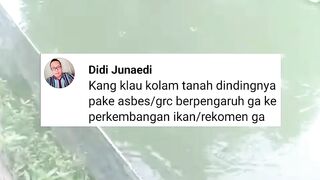 Kolam TANAH dindingnya ASBES / GRC berpengaruh atau TIDAK ke pertumbuhan ikan lele❓