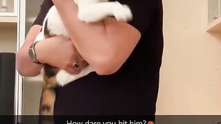 funny cats