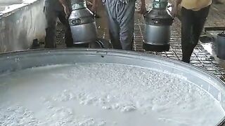 Diary Farms in pakistan