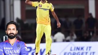 Cricket nice