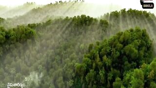 অহংকারী এক রাজার জীবন বদলে যাওয়ার গল্প !????