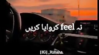 ## video#febapot