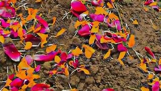 Apne jute Hain to