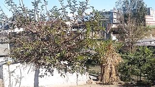 balakot tour very good