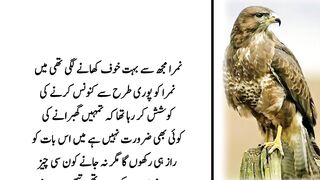 Sabaq Amoz Urdu Kahani | urdu  waqia part.4