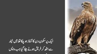An Emotional Heart Touching Story __ Moral Story part.6_