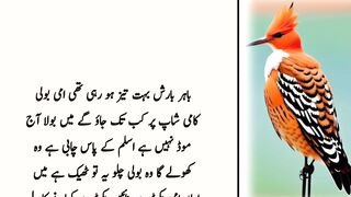 PASAND KI SHADI-(1) Urdu kahani