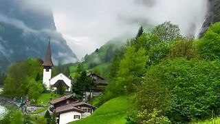 Nature view videos